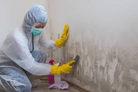 Best Crawl Space Mold Remediation  in Winona, MS